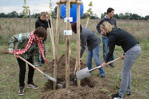 Sustainable Development of Floodplains (SDF)