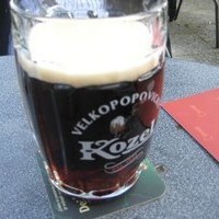 Die 9 - unsere Bahn