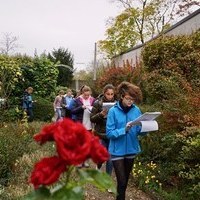 "Jugend debattiert" - 8. Klasse bt die Rede